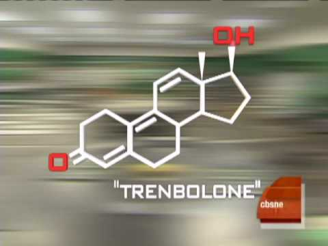 Dosage of anabolic steroids